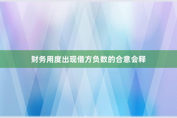 财务用度出现借方负数的合意会释
