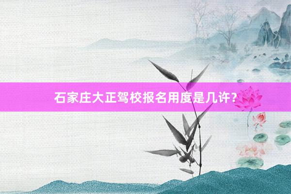石家庄大正驾校报名用度是几许？